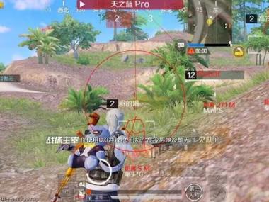 和平精英免费防封软件 - 无门槛直装辅助推荐